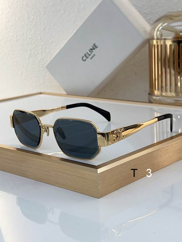 Celine Sunglasses ID:20240804-14